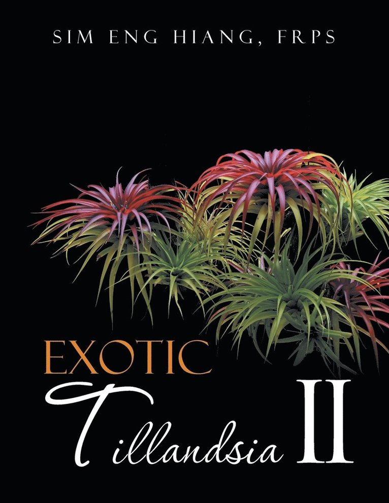 Exotic Tillandsia II 1