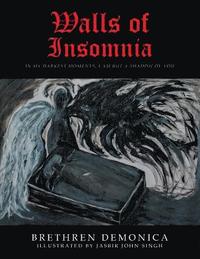 bokomslag Walls of Insomnia