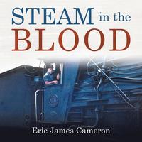 bokomslag Steam in the Blood