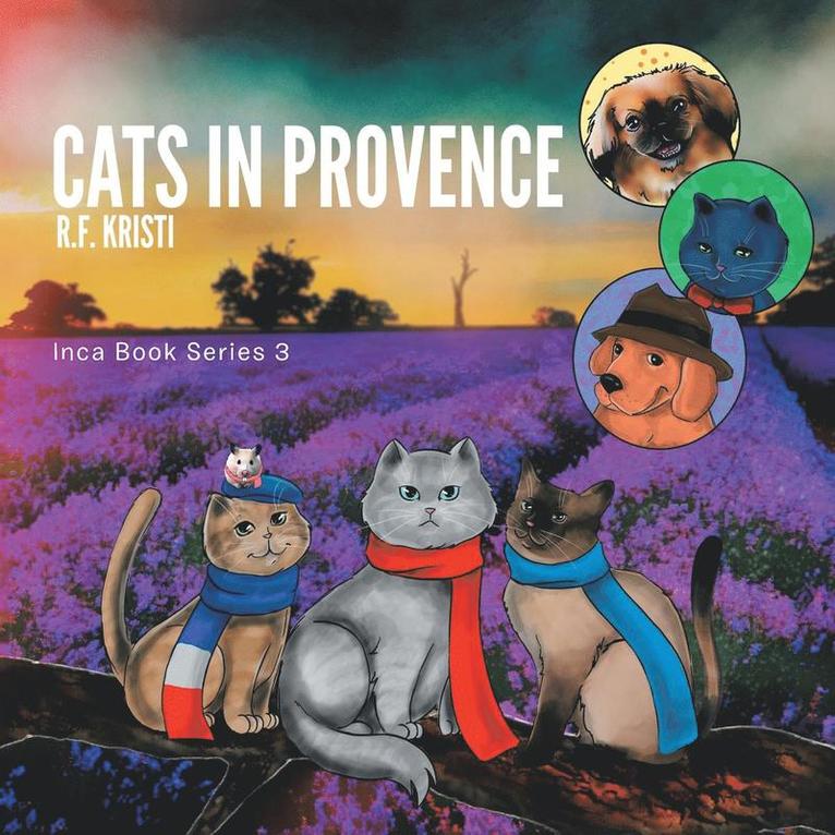 Cats in Provence 1