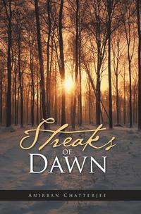 bokomslag Streaks of Dawn