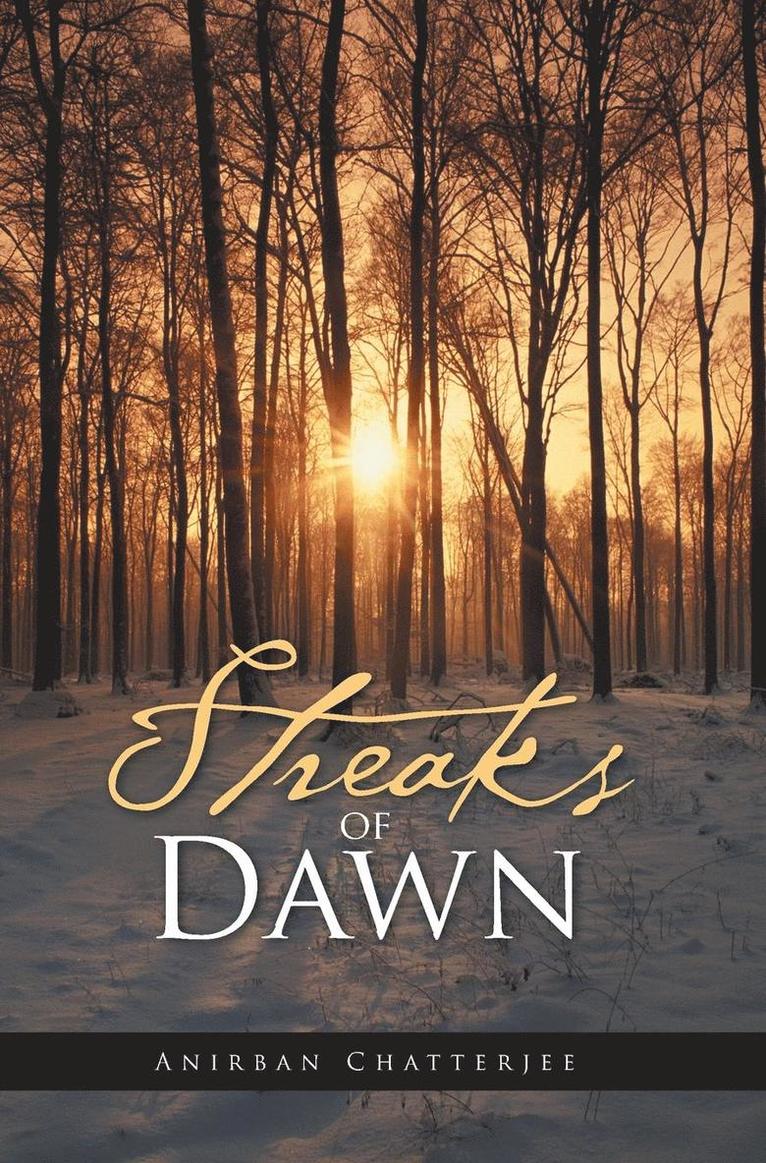 Streaks of Dawn 1