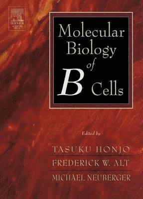 Michael Reth, Andreas Radbruch, Frederick Alt, Tasuku Honjo, Michael Neuberger - Molecular Biology of B Cells, Häftad
