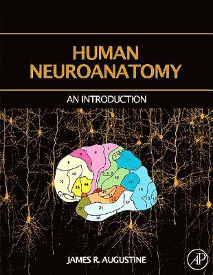 bokomslag Human Neuroanatomy