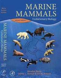 bokomslag Marine Mammals: Evolutionary Biology