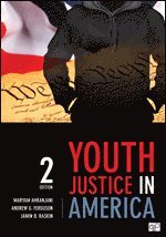 Maryam Ahranjani, Andrew G. Ferguson, Jamin B. Raskin - Youth Justice in America, Häftad