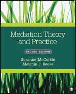 Mediation Theory and Practice