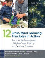 bokomslag 12 Brain/Mind Learning Principles in Action