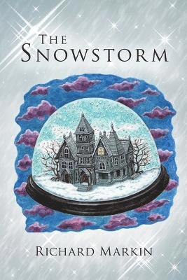bokomslag Snowstorm