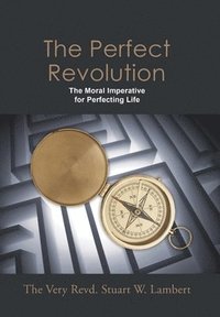 bokomslag Perfect Revolution