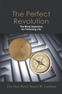 bokomslag Perfect Revolution