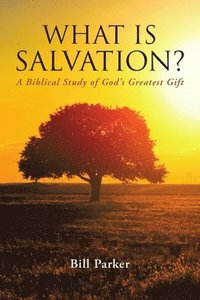 bokomslag What Is Salvation?