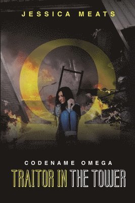 bokomslag Codename Omega