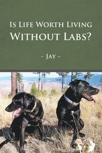 bokomslag Is Life Worth Living Without Labs?