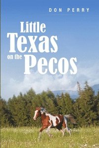 bokomslag Little Texas On the Pecos