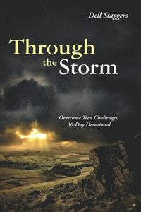 bokomslag Through the Storm