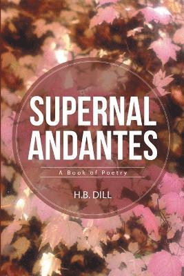 bokomslag Supernal Andantes