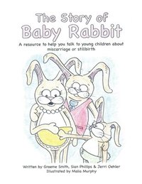 bokomslag The Story of Baby Rabbit