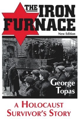 bokomslag Iron Furnace