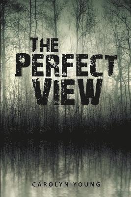 The Perfect View 1