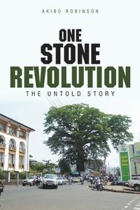 bokomslag One Stone Revolution