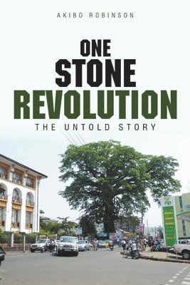bokomslag One Stone Revolution