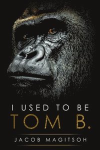 bokomslag I Used To Be Tom B.