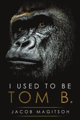bokomslag I Used To Be Tom B.