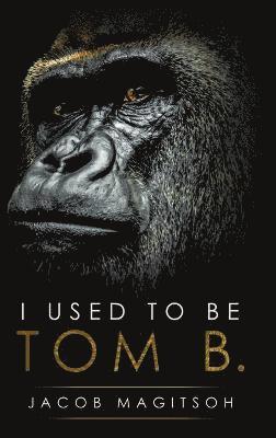 bokomslag I Used To Be Tom B.
