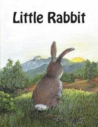 bokomslag Little Rabbit