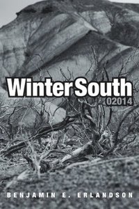 bokomslag Winter South 02014
