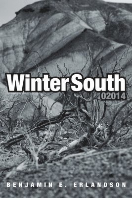 Winter South 02014 1