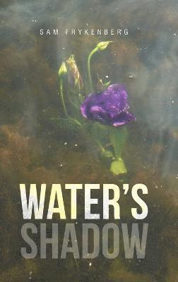 Water's Shadow