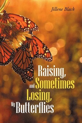 Raising, and Sometimes Losing, My Butterflies 1