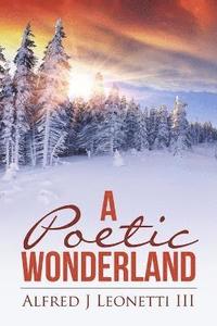 bokomslag Poetic Wonderland