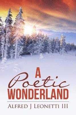 bokomslag Poetic Wonderland