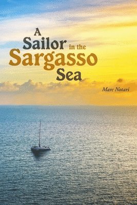 A Sailor In the Sargasso Sea 1