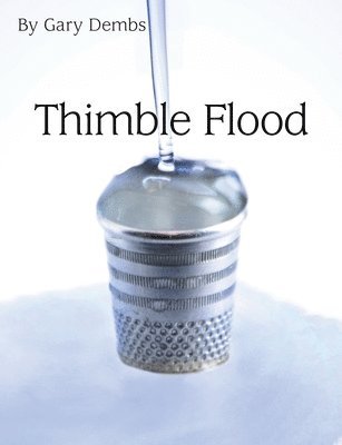 bokomslag Thimble Flood