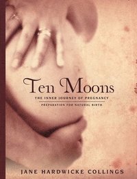 bokomslag Ten Moons