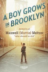 bokomslag A Boy Grows in Brooklyn