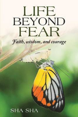 bokomslag Life Beyond Fear