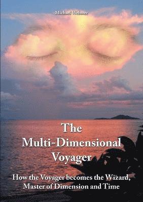 The Multi-Dimensional Voyager 1