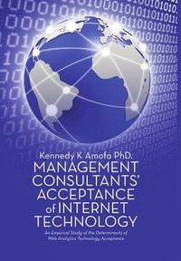 bokomslag Management Consultants' Acceptance of Internet Technology