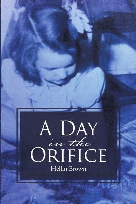 bokomslag Day In The Orifice