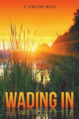 T Vincent Beck, T. Vincent Beck - Wading In, Häftad