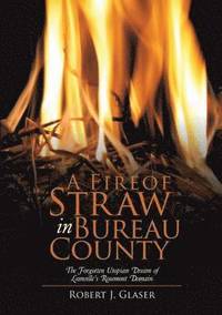 bokomslag A Fire of Straw in Bureau County