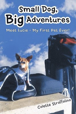 Small Dog, Big Adventures 1