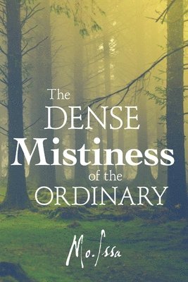 The Dense Mistiness of the Ordinary 1