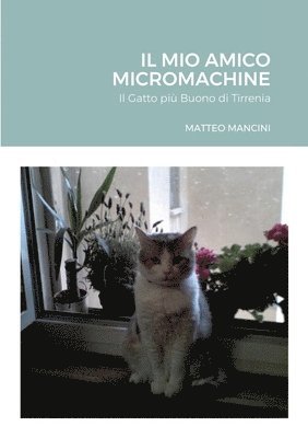 bokomslag Mio Amico Micromachine