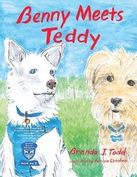 bokomslag Benny Meets Teddy
